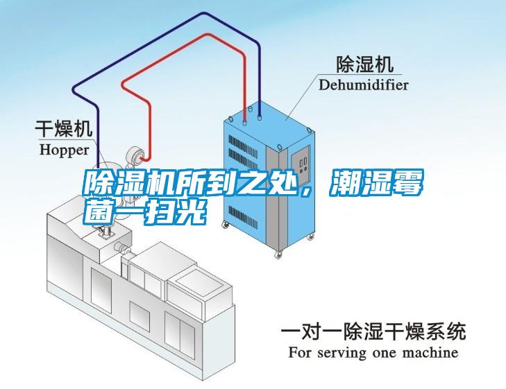 除濕機(jī)所到之處<div   id=