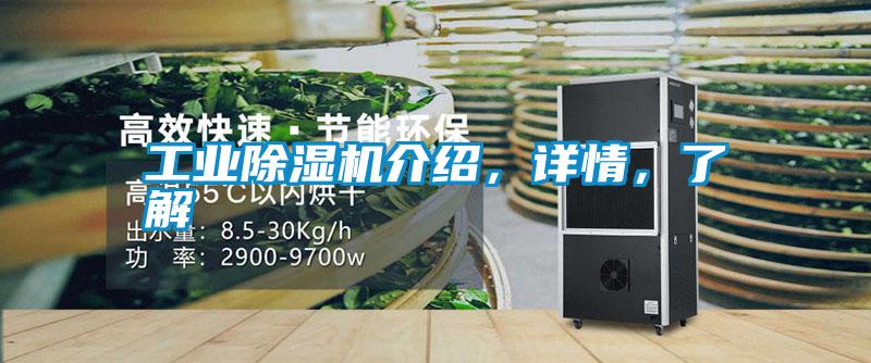 工業(yè)除濕機介紹<div   id=