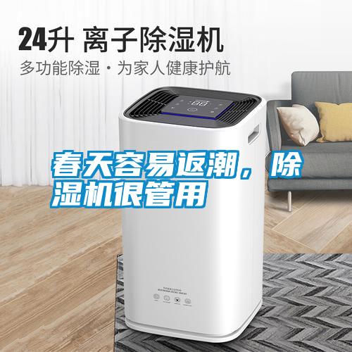 春天容易返潮<div   id=