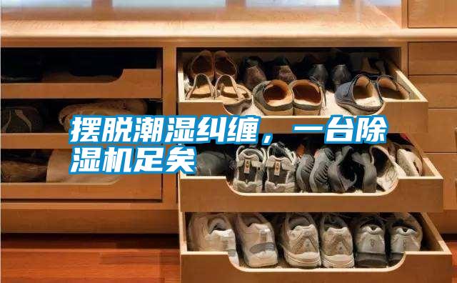 擺脫潮濕糾纏<div   id=