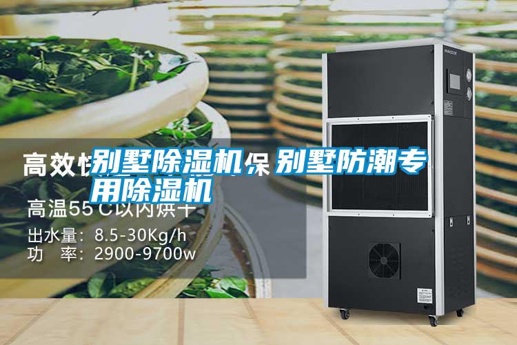 別墅除濕機(jī)<div   id=