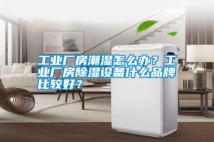 工業(yè)廠房潮濕怎么辦？工業(yè)廠房除濕設(shè)備什么品牌比較好<div   id=