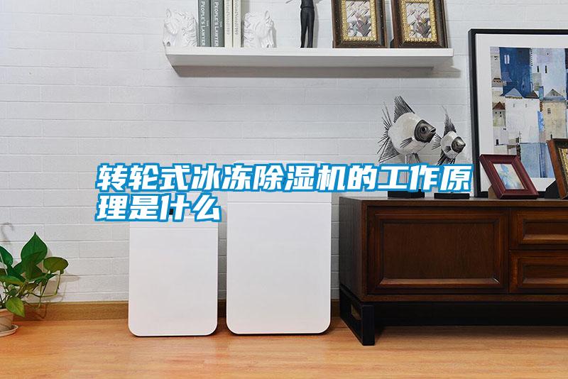 轉(zhuǎn)輪式冰凍除濕機的工作原理是什么