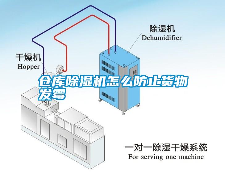 倉庫除濕機怎么防止貨物發(fā)霉