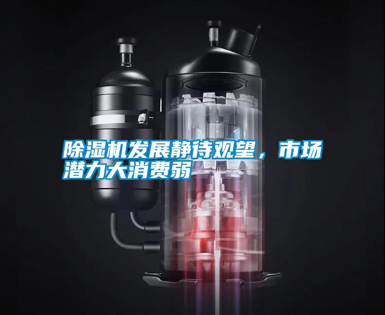 除濕機(jī)發(fā)展靜待觀望<div   id=