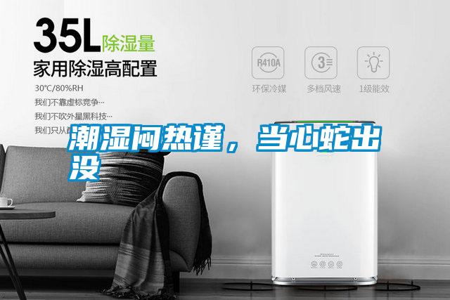 潮濕悶熱謹，當(dāng)心蛇出沒