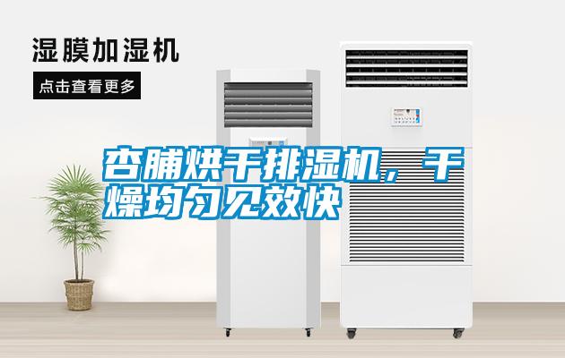 杏脯烘干排濕機<div   id=