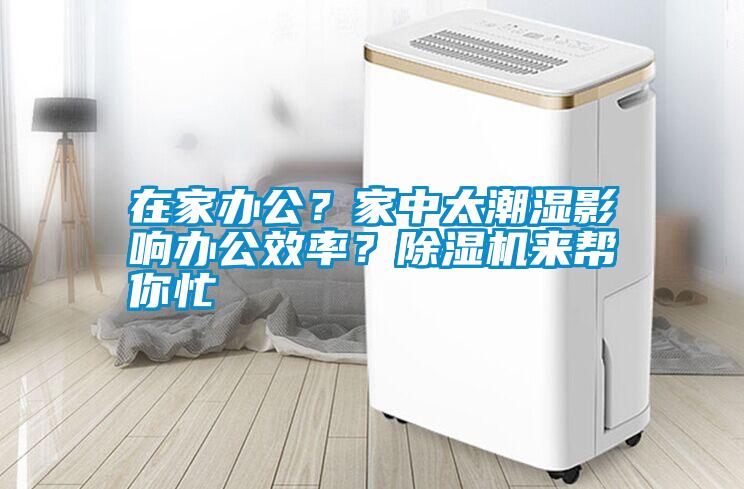 在家辦公？家中太潮濕影響辦公效率<div   id=