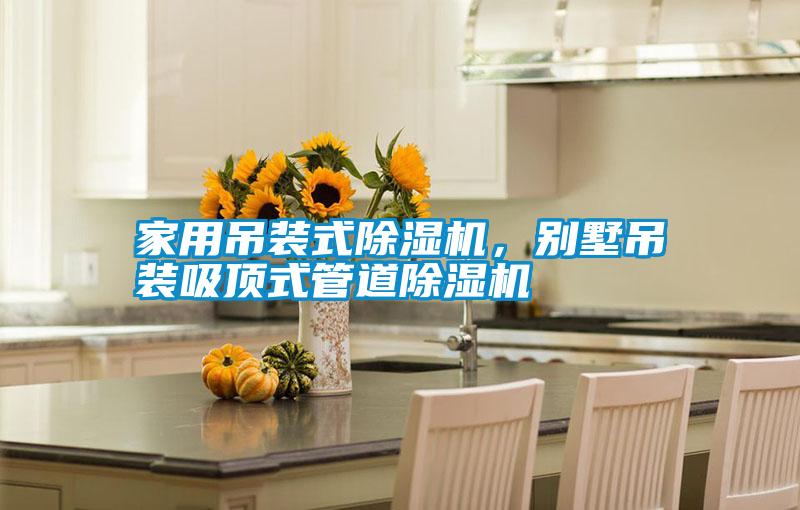 家用吊裝式除濕機<div   id=