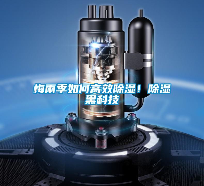 梅雨季如何高效除濕<div   id=