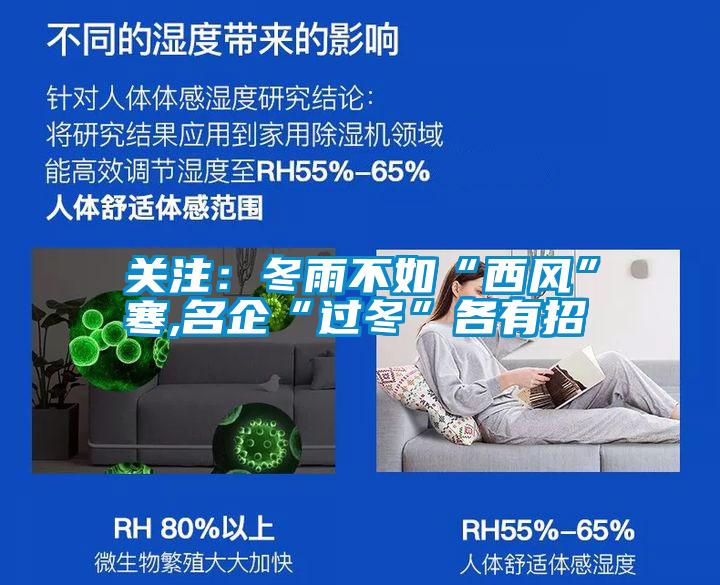 關(guān)注：冬雨不如“西風(fēng)”寒,名企“過(guò)冬”各有招