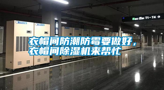衣帽間防潮防霉要做好，衣帽間除濕機(jī)來(lái)幫忙
