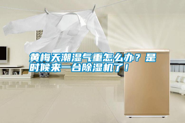 黃梅天潮濕氣重怎么辦<div   id=