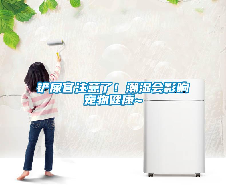 鏟屎官注意了<div   id=