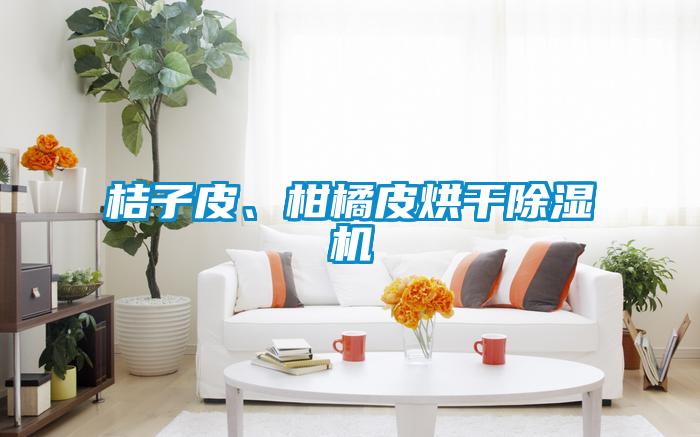 桔子皮<div   id=