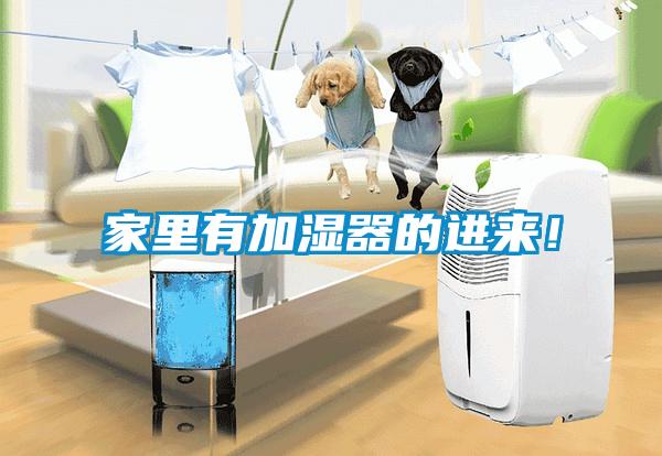 家里有加濕器的進(jìn)來<div   id=