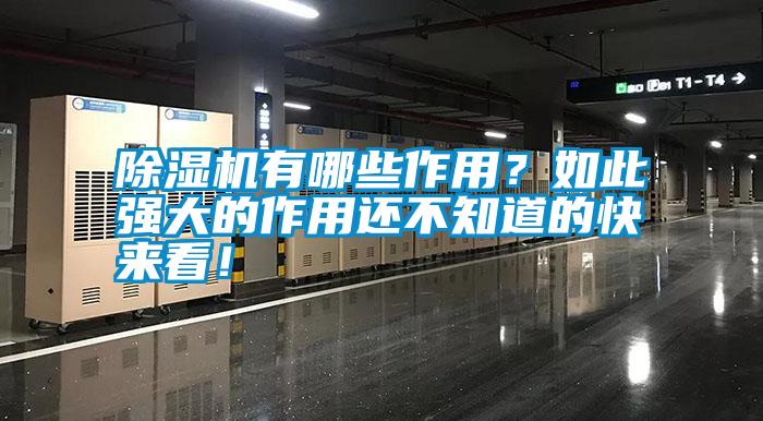 除濕機(jī)有哪些作用？如此強(qiáng)大的作用還不知道的快來(lái)看<div   id=