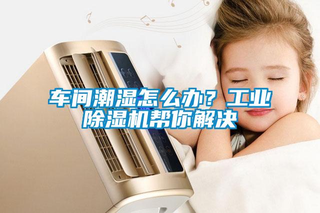 車間潮濕怎么辦？工業(yè)除濕機(jī)幫你解決