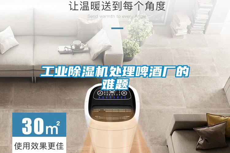 工業(yè)除濕機處理啤酒廠的難題