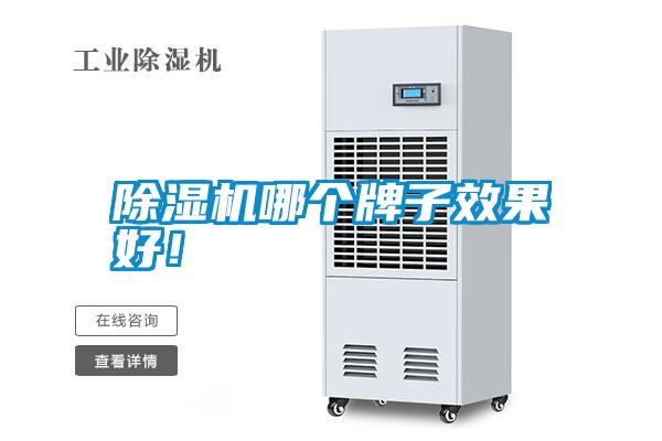 除濕機(jī)哪個(gè)牌子效果好<div   id=