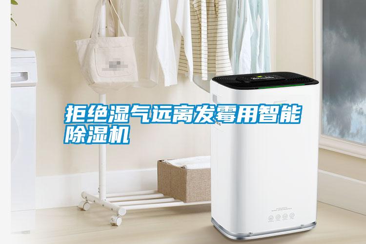 拒絕濕氣遠(yuǎn)離發(fā)霉用智能除濕機