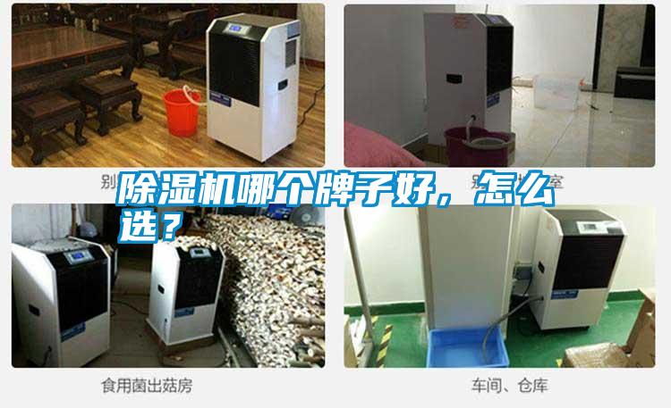 除濕機哪個牌子好<div   id=