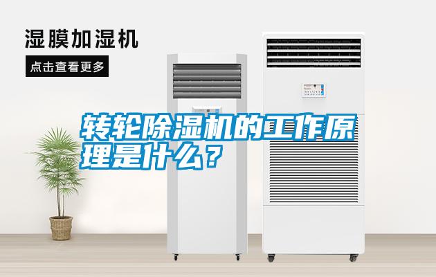轉(zhuǎn)輪除濕機(jī)的工作原理是什么<div   id=