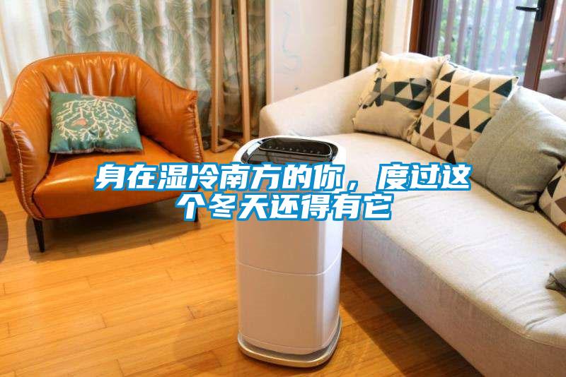 身在濕冷南方的你<div   id=