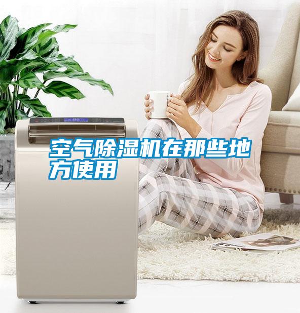 空氣除濕機(jī)在那些地方使用