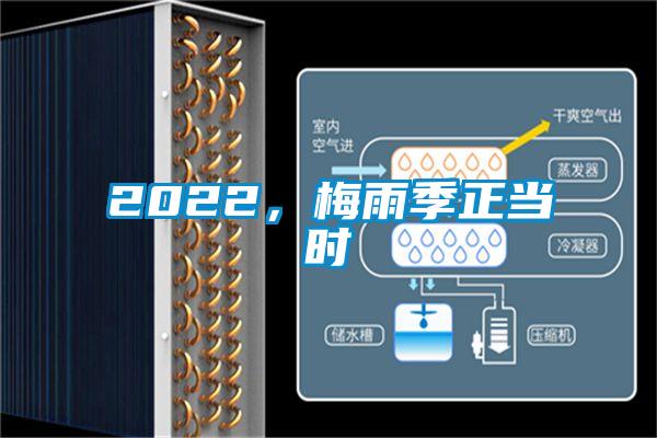 2022<div   id=