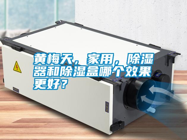 黃梅天<div   id=