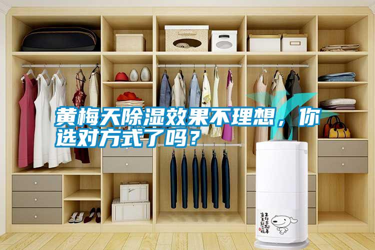 黃梅天除濕效果不理想<div   id=