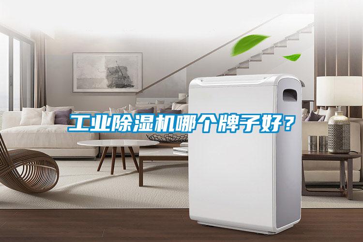 工業(yè)除濕機(jī)哪個(gè)牌子好<div   id=