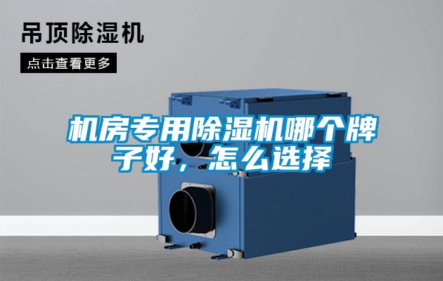 機(jī)房專用除濕機(jī)哪個(gè)牌子好<div   id=