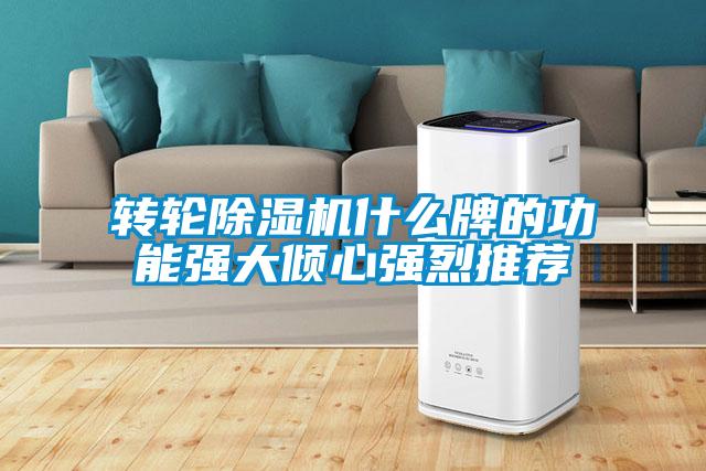 轉(zhuǎn)輪除濕機什么牌的功能強大傾心強烈推薦