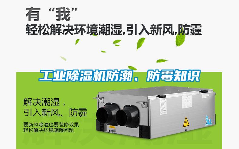 工業(yè)除濕機(jī)防潮<div   id=