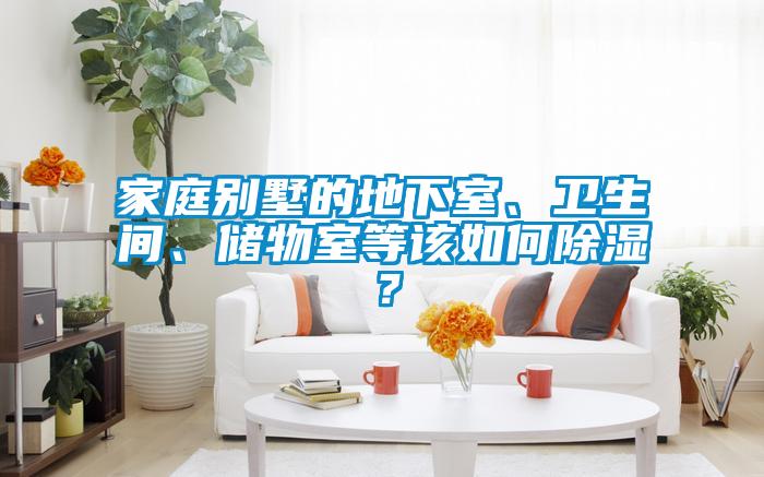 家庭別墅的地下室<div   id=