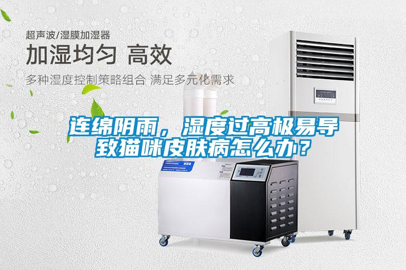 連綿陰雨<div   id=