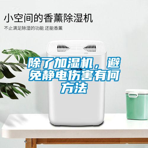 除了加濕機<div   id=