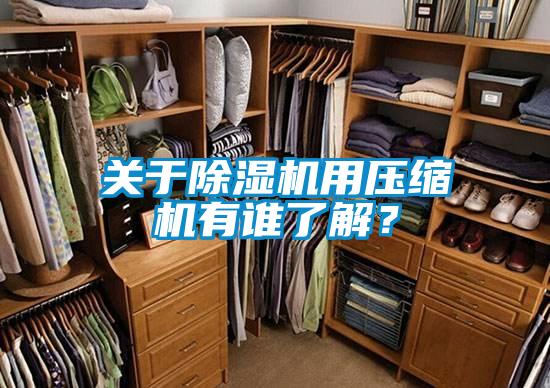 關于除濕機用壓縮機有誰了解<div   id=