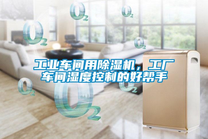 工業(yè)車間用除濕機(jī)<div   id=