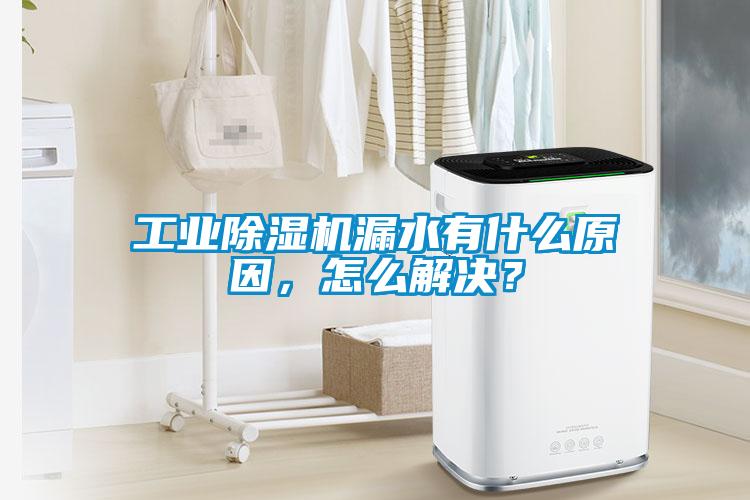 工業(yè)除濕機漏水有什么原因<div   id=