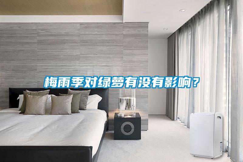 梅雨季對綠蘿有沒有影響<div   id=