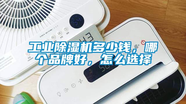 工業(yè)除濕機多少錢，哪個品牌好<div   id=