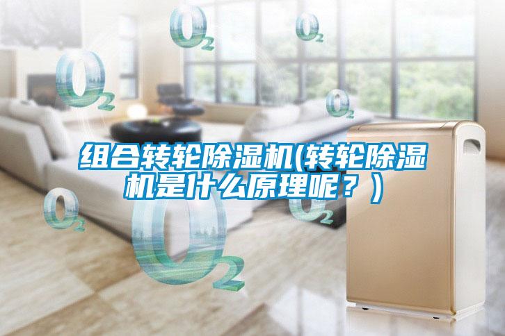 組合轉(zhuǎn)輪除濕機(轉(zhuǎn)輪除濕機是什么原理呢?)