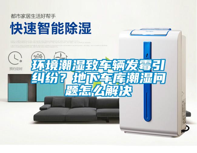 環(huán)境潮濕致車輛發(fā)霉引糾紛<div   id=