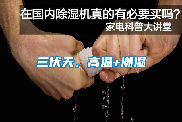 三伏天<div   id=