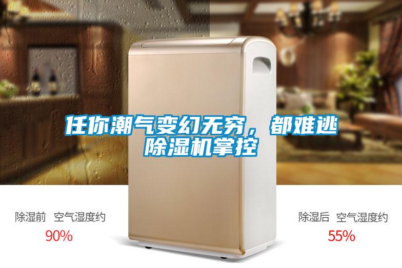 任你潮氣變幻無(wú)窮<div   id=