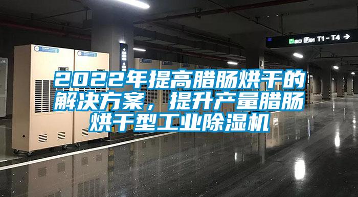 2022年提高臘腸烘干的解決方案<div   id=