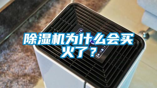除濕機為什么會買火了<div   id=